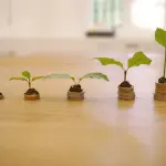 Bilancio consolidato 2024: Firenze chiude con un attivo di 72,4 milioni