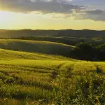 Centro-Destra e Civici per il Cambiamento: auguri al nuovo Comandante Bonucci