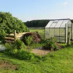 Orti sociali nel Quartiere 4 di Firenze: via libera alle domande per il 2026