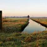 Sversamento di idrocarburi nel fosso Centena: intervento ARPAT a Monterchi