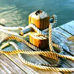 Nautica toscana, Saccardi: “Il distretto dell’Arno è un’eccellenza internazionale”