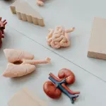 Dolori ai reni: come riconoscerli