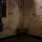 Come eliminare la muffa dai muri