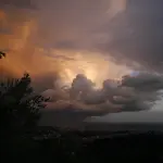 Firenze, allerta gialla per vento: raffiche di Grecale su tutto il territorio metropolitano