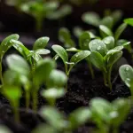 Unifi Green Week, una settimana per mettere la sostenibilità alla prova dei fatti