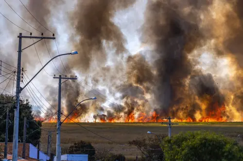 Incendio Delca Energy, ARPAT esclude contaminazioni nei vegetali