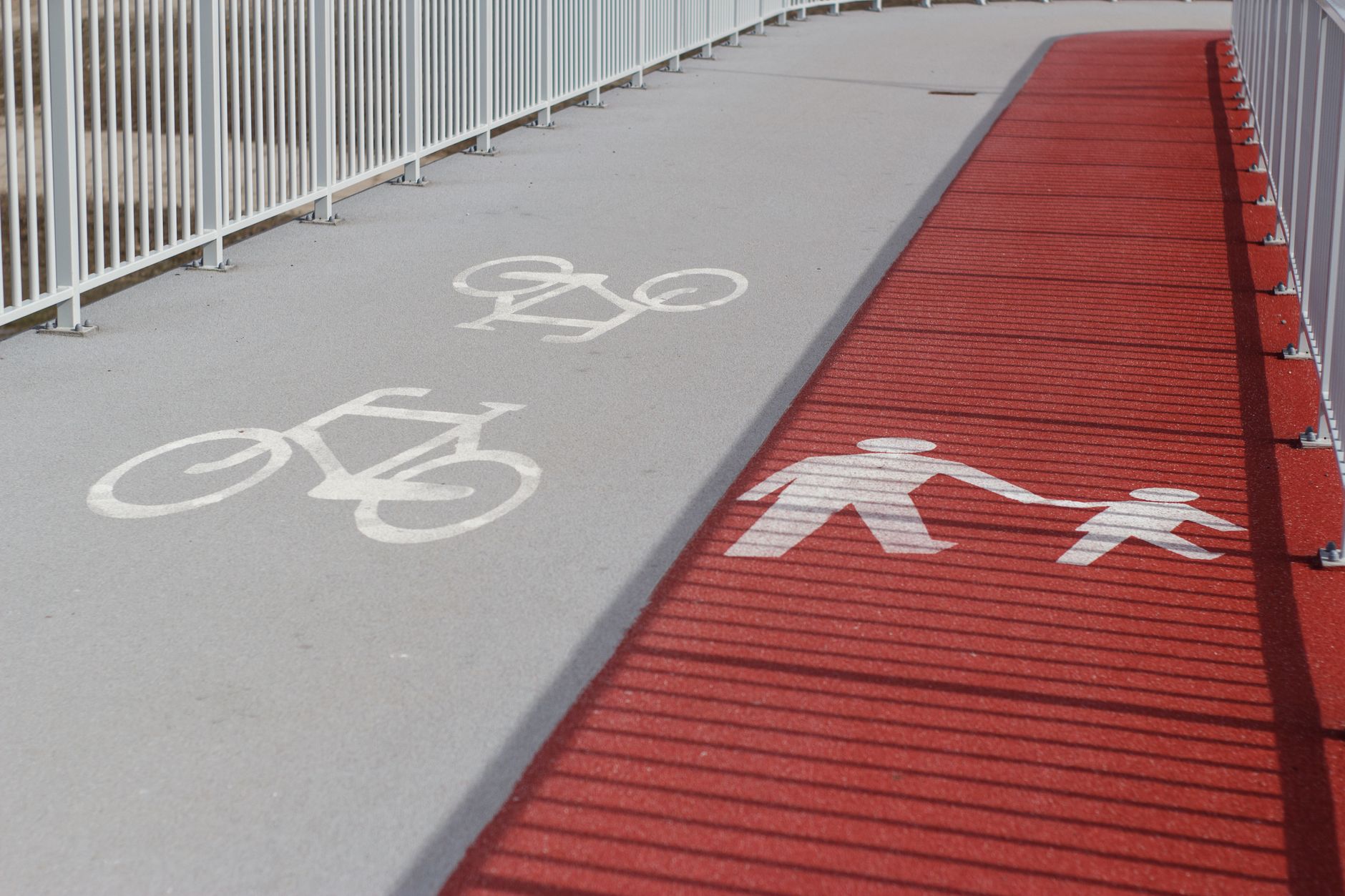 Firenze, il 30% delle multe Scudo Verde al Tpl