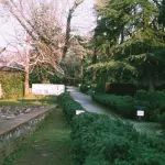 Firenze, Hortalia cerca 5mila euro per raccontare la biodiversità