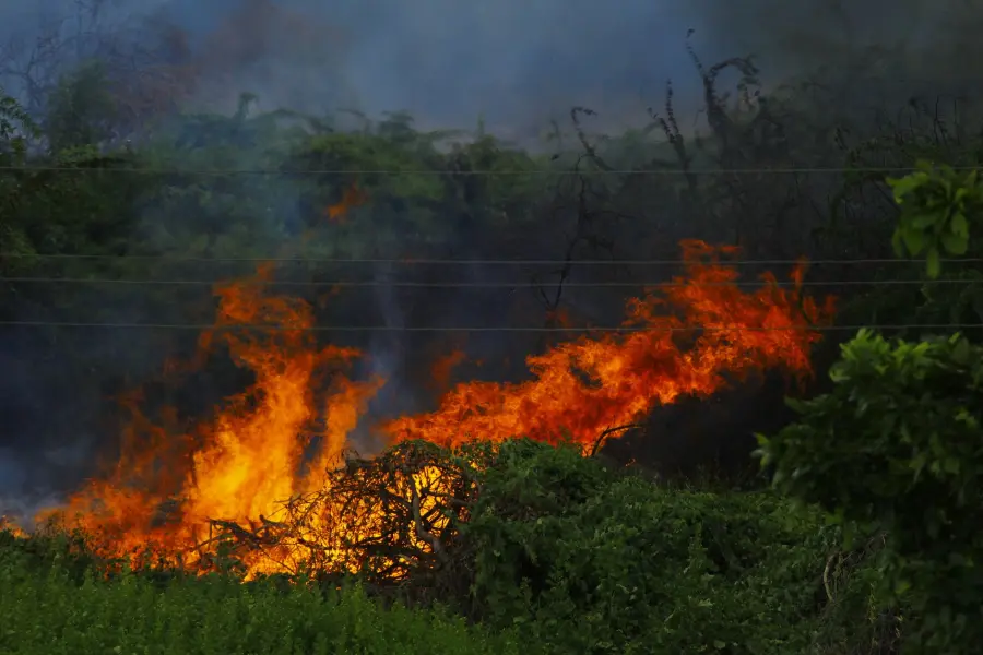 Incendi a Firenze, terza squadra e nuovo serbatoio a Calenzano