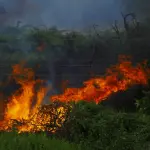 Incendi a Firenze, terza squadra e nuovo serbatoio a Calenzano
