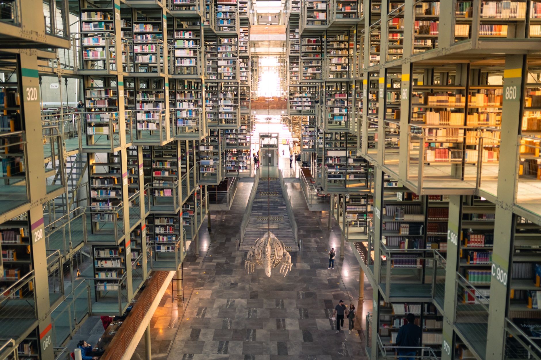 Calenzano, due tirocini alla Biblioteca Alinari per laureati