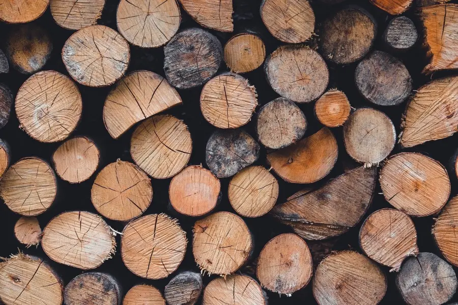 Il legno veneto protagonista ad Arredamont: l’artigianato che cresce controcorrente