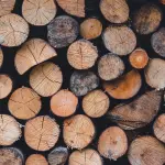 Il legno veneto protagonista ad Arredamont: l’artigianato che cresce controcorrente